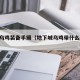 dnf乌鸡装备手镯（地下城乌鸡带什么武器）