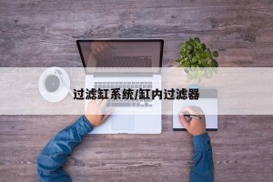 过滤缸系统/缸内过滤器