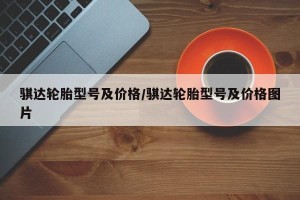 骐达轮胎型号及价格/骐达轮胎型号及价格图片